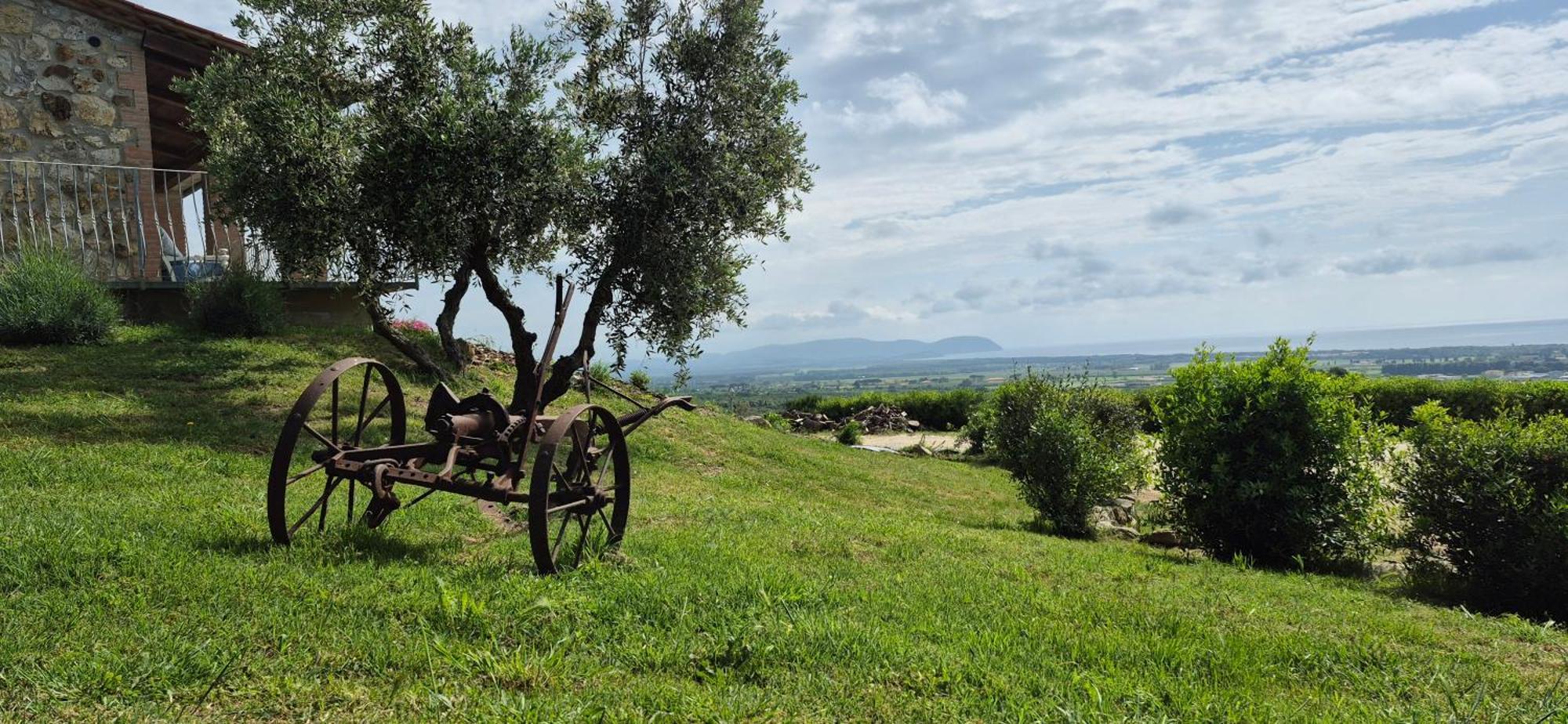 Agriturismo Suite Del Conte سان فينتْشينسو المظهر الخارجي الصورة